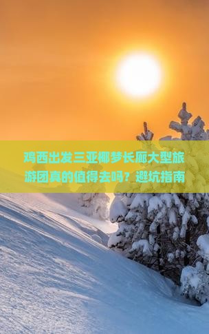 鸡西出发三亚椰梦长廊大型旅游团