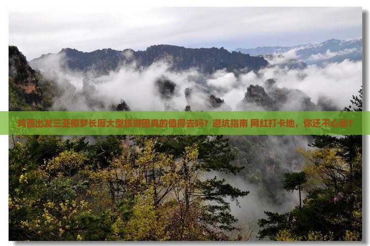 鸡西出发三亚椰梦长廊大型旅游团