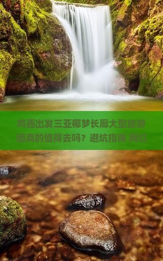 鸡西出发三亚椰梦长廊大型旅游团