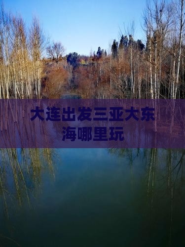 大连出发三亚大东海哪里玩