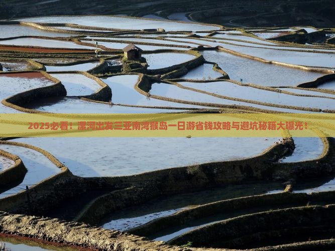 漯河出发三亚南湾猴岛一日游