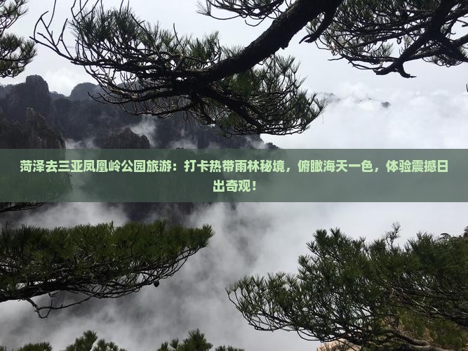 菏泽去三亚凤凰岭公园旅游