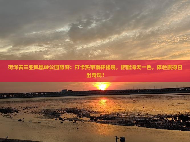 菏泽去三亚凤凰岭公园旅游