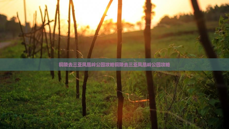铜陵去三亚凤凰岭公园攻略