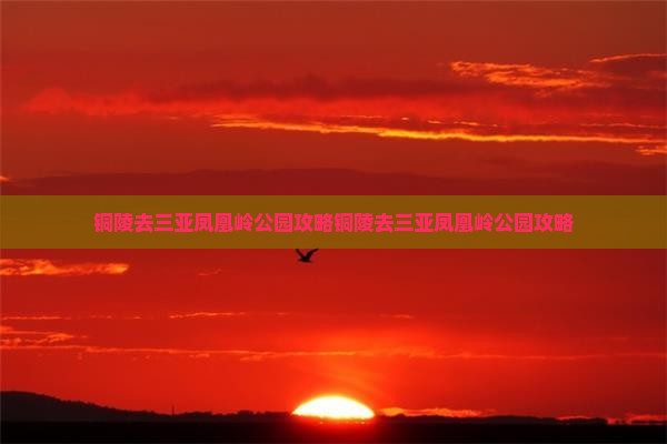 铜陵去三亚凤凰岭公园攻略