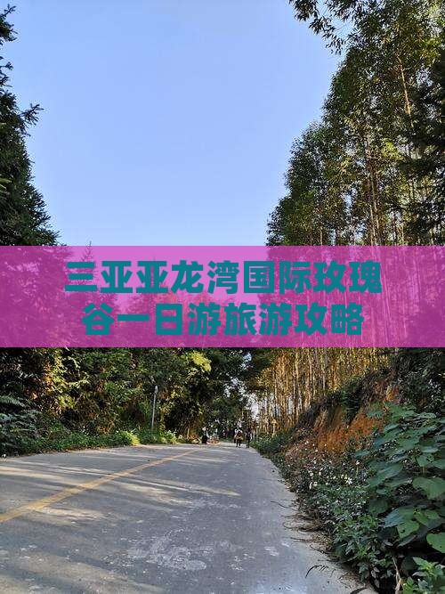 韶关去三亚亚龙湾国际玫瑰谷一日游