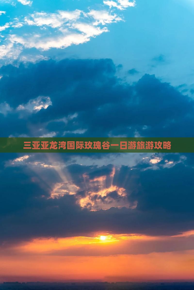 韶关去三亚亚龙湾国际玫瑰谷一日游