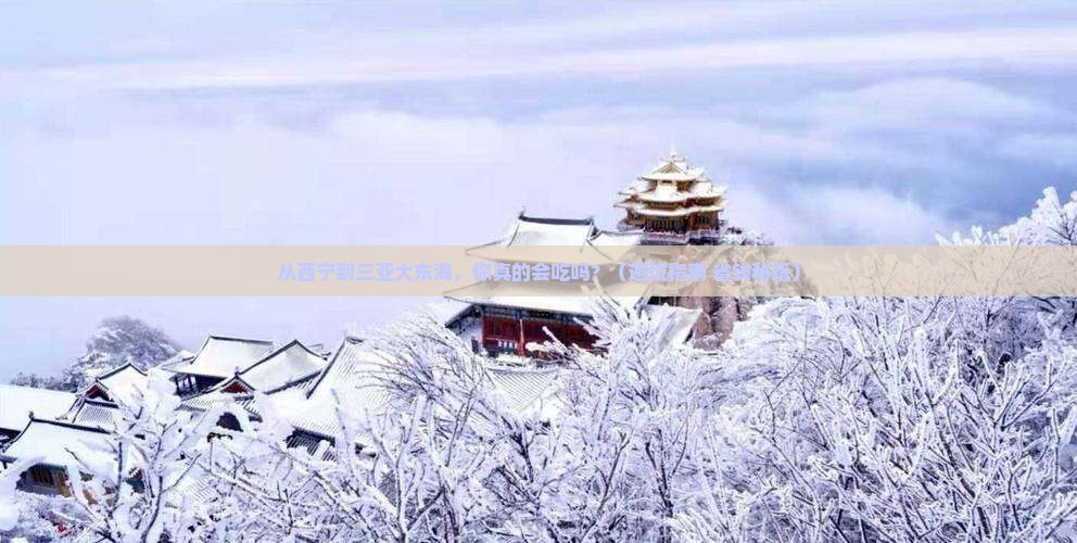 西宁出发三亚大东海旅游小吃