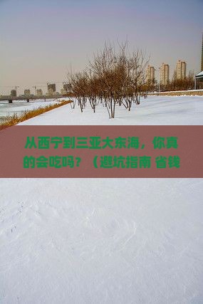 西宁出发三亚大东海旅游小吃