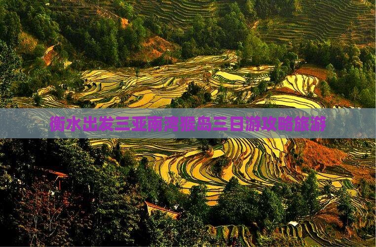 衡水前往三亚南湾猴岛三日游