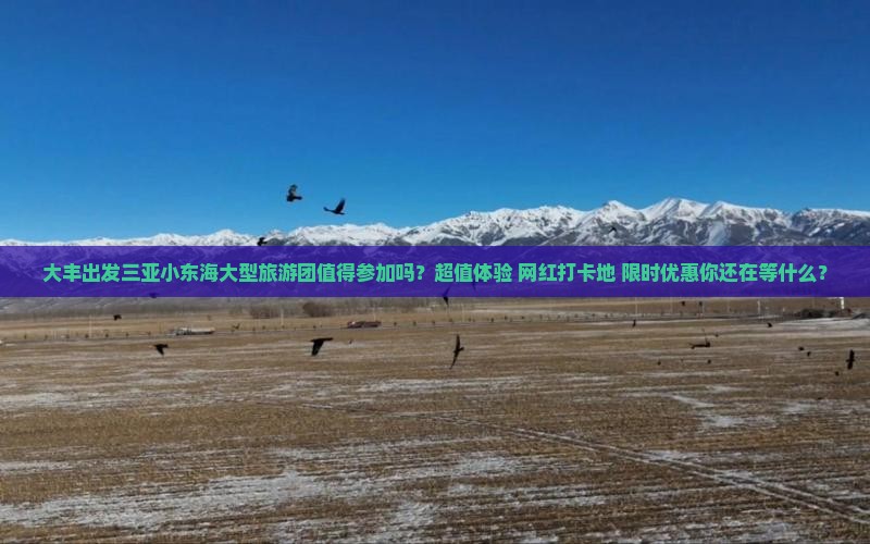 大丰出发三亚小东海大型旅游团