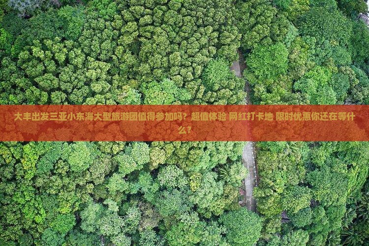 大丰出发三亚小东海大型旅游团