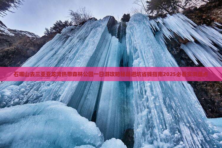 石嘴山去三亚亚龙湾热带森林公园一日游