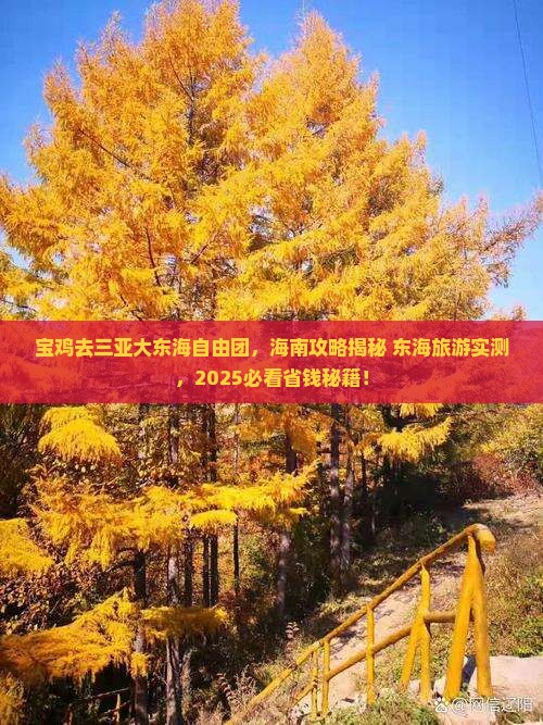 宝鸡去三亚大东海自由团