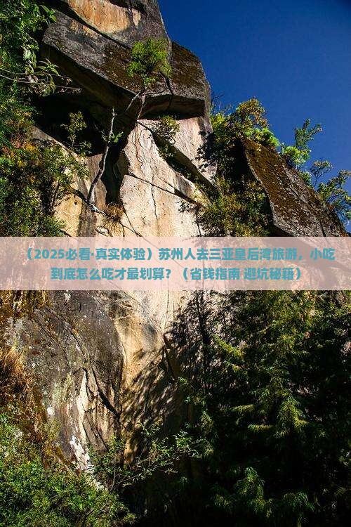 苏州前往三亚皇后湾旅游小吃