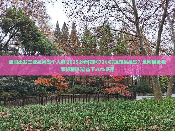 朝阳出发三亚呆呆岛个人游