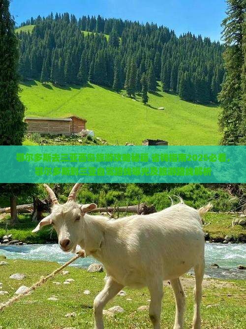 鄂尔多斯去三亚西岛旅游