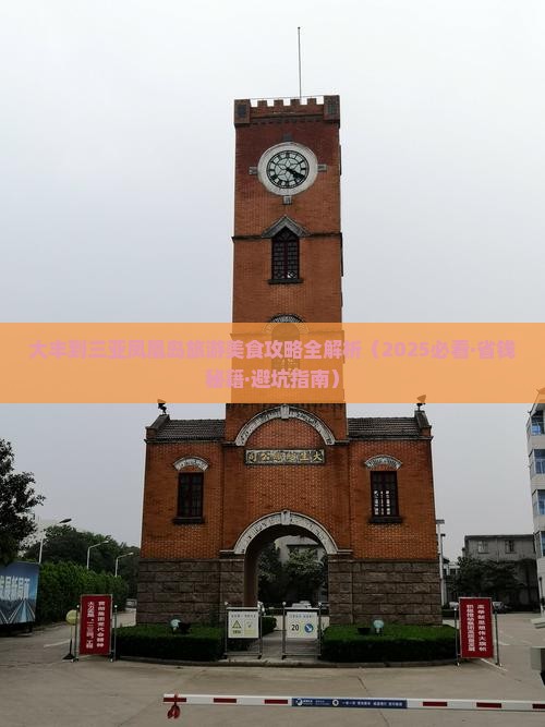 大丰出发三亚凤凰岛旅游小吃