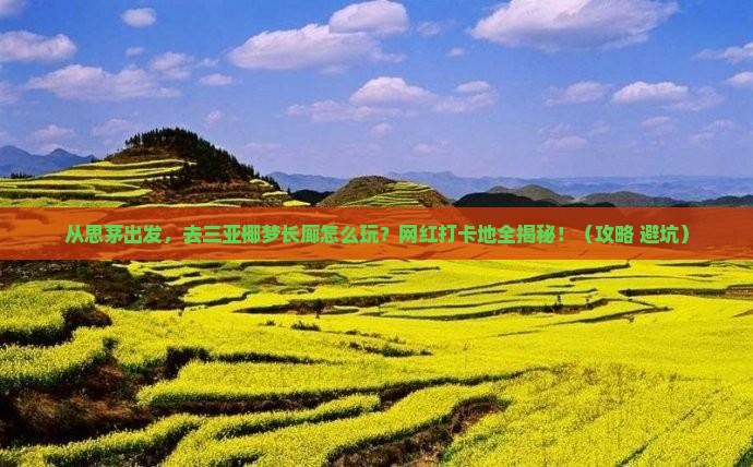 思茅出发三亚椰梦长廊旅游网红地点