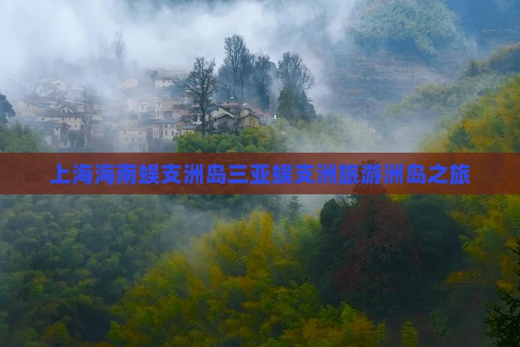 上海去三亚蜈支洲岛旅行社