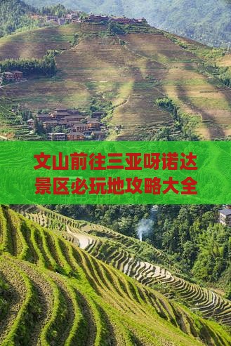 文山前往三亚呀诺达景区必玩地