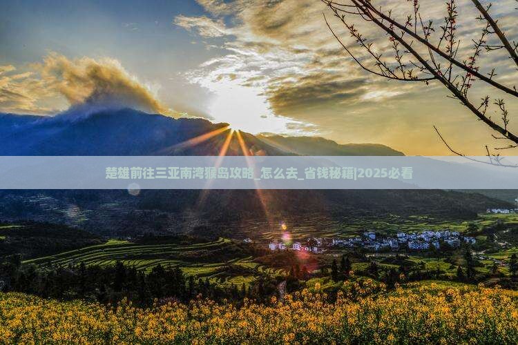 楚雄前往三亚南湾猴岛攻略