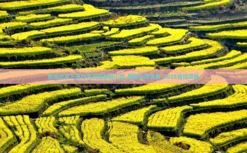 恩施出发三亚分界洲岛旅游小吃