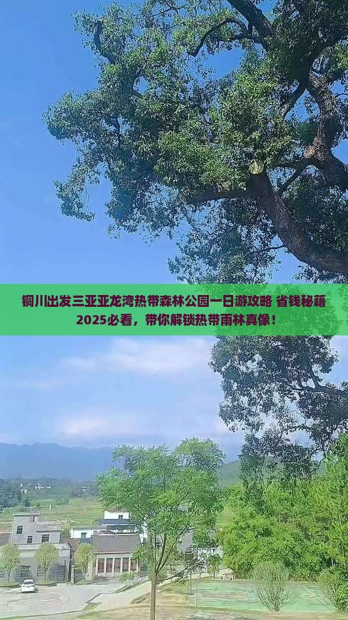 铜川出发三亚亚龙湾热带森林公园一日游