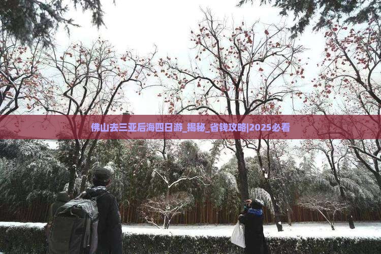 佛山去三亚后海四日游