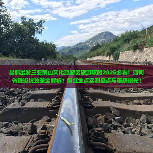 昌都去三亚南山文化旅游区旅游网红地点