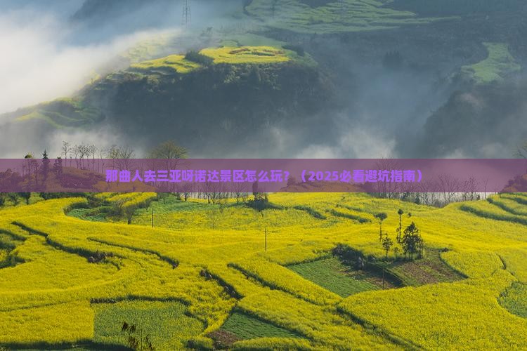 那曲去三亚呀诺达景区旅行社