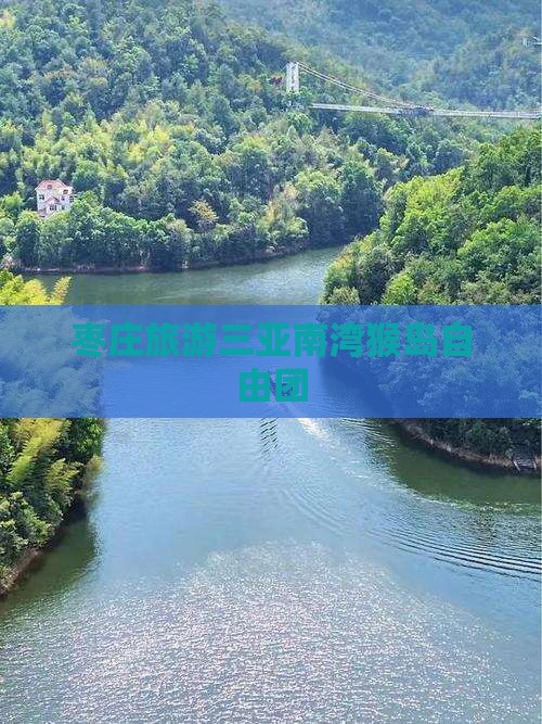 枣庄去三亚南湾猴岛自由团