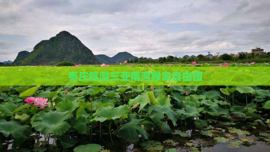 枣庄去三亚南湾猴岛自由团