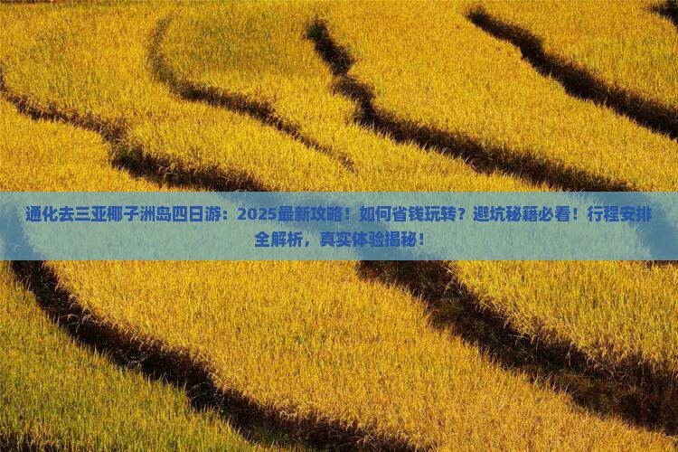 通化去三亚椰子洲岛四日游