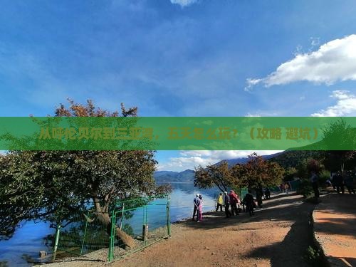 呼伦贝尔去三亚三亚湾五日游