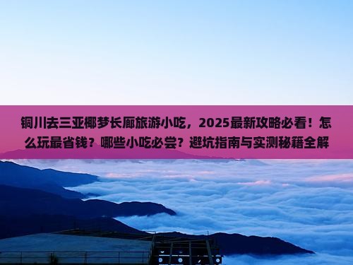 铜川去三亚椰梦长廊旅游小吃