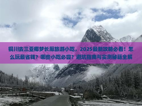 铜川去三亚椰梦长廊旅游小吃