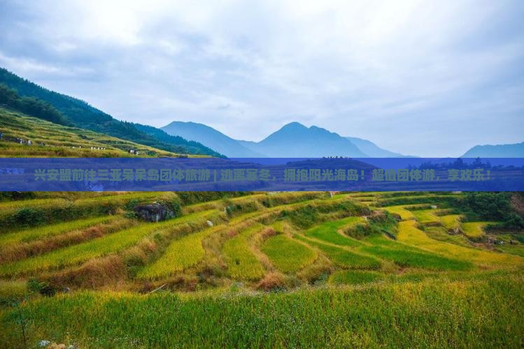 兴安盟前往三亚呆呆岛团体旅游