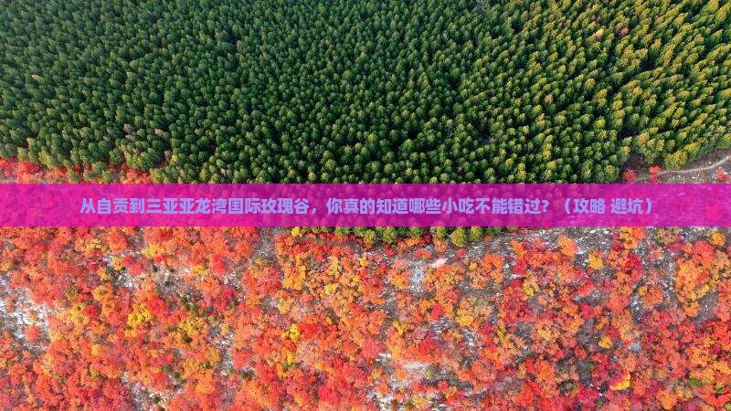 自贡前往三亚亚龙湾国际玫瑰谷旅游小吃