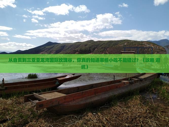 自贡前往三亚亚龙湾国际玫瑰谷旅游小吃