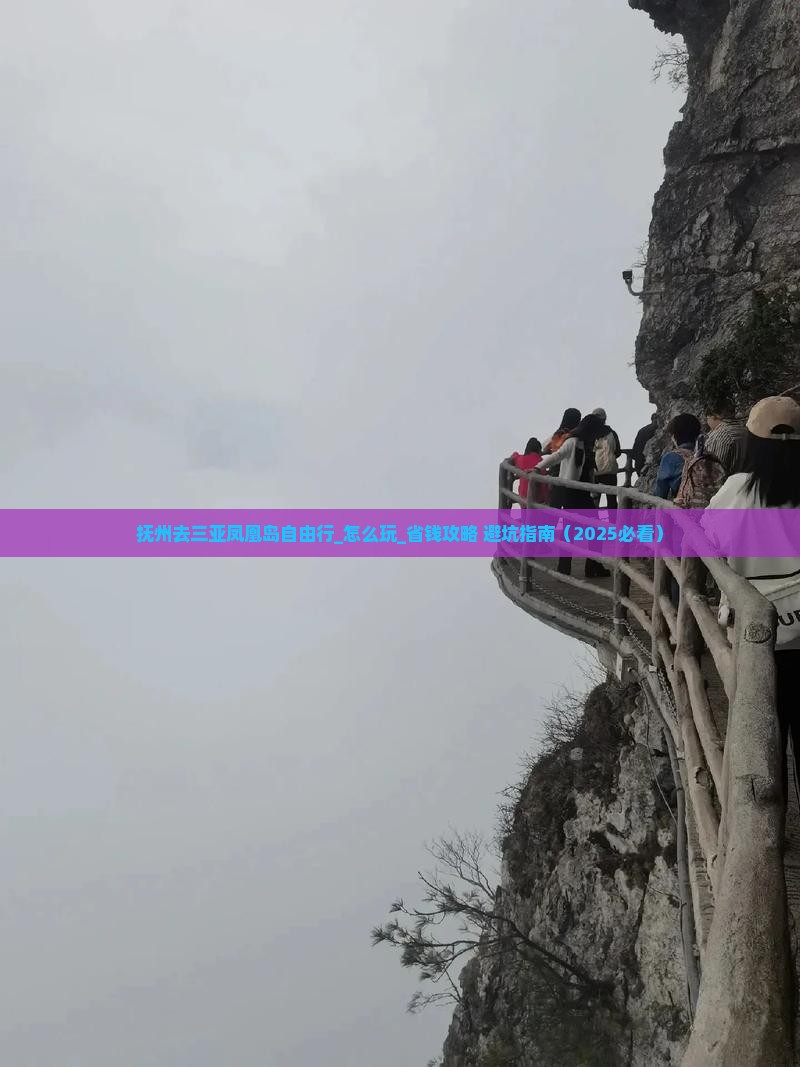 抚州去三亚凤凰岛自由行