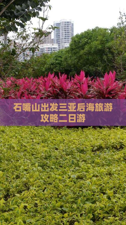 石嘴山出发三亚后海二日游