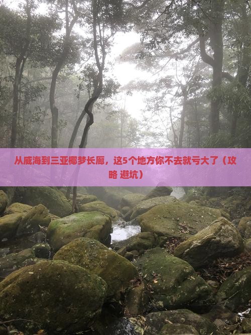 威海出发三亚椰梦长廊必玩地
