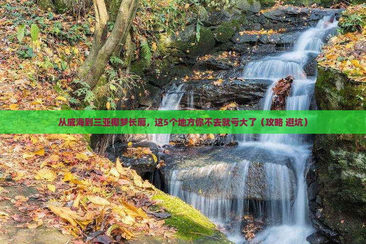 威海出发三亚椰梦长廊必玩地
