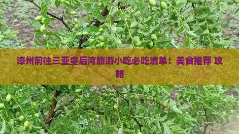 漳州前往三亚皇后湾旅游小吃
