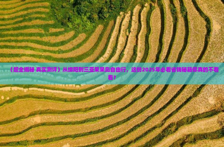 绵阳去三亚呆呆岛自由团