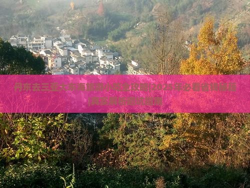 丹东去三亚大东海旅游小吃