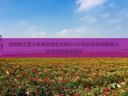 德阳去三亚大东海六日游