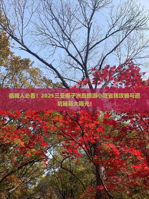 临猗去三亚椰子洲岛旅游小吃