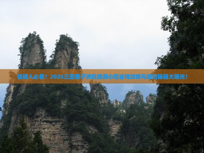 临猗去三亚椰子洲岛旅游小吃